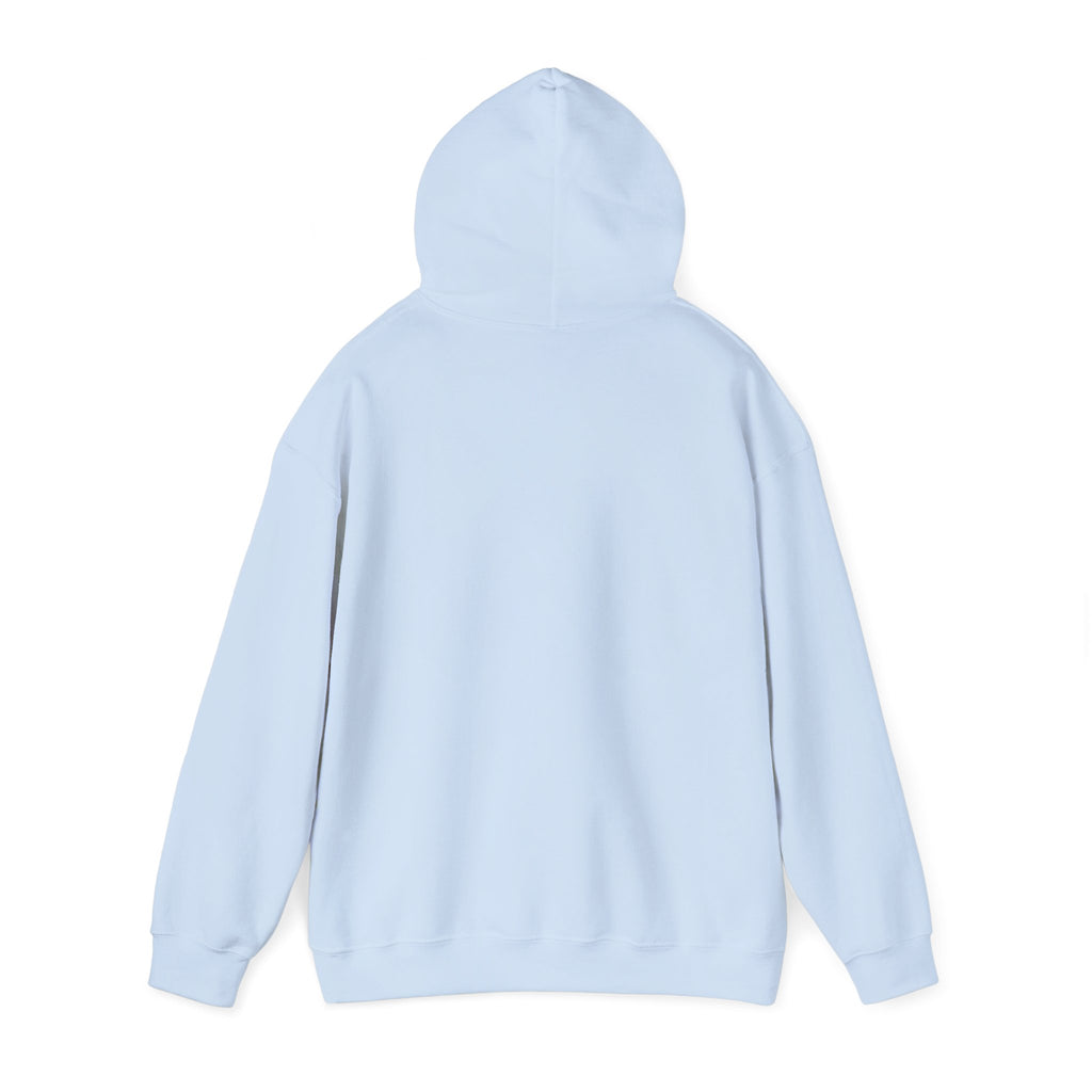 Custom Cat Photo Hoodie - Personalized Cat Mom Sweatshirt With Your Cat's Name