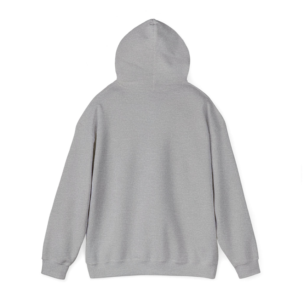 Custom Cat Photo Hoodie - Personalized Cat Mom Sweatshirt With Your Cat's Name